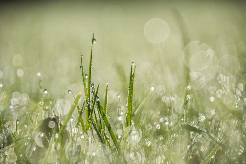 Troi Nguoc Nguyen Si Kha • Rainy Day Memories • 2023